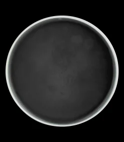 Waldhausen Hufbeschlag|Huf & Pferdebein></noscript>Hufsalbe 500 ml