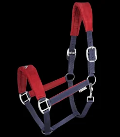 Waldhausen Island|Halfter>Island Halfter Hellnar