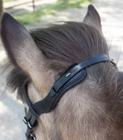 Waldhausen Island|Island Trensenzäume><noscript><img width=