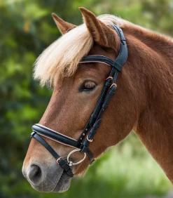 Waldhausen Island|Island Trensenzäume>Island Trensenzaum Rose
