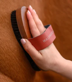 Waldhausen Putzzeug><noscript><img width=