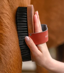 Waldhausen Putzzeug></noscript>Kardätsche HardWood, Synthetikborsten