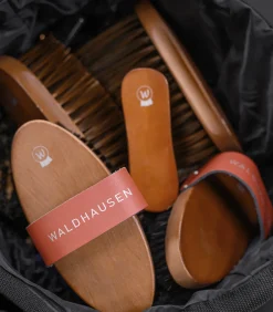 Waldhausen Putzzeug></noscript>Kardätsche HardWood, Synthetikborsten