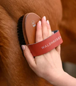 Waldhausen Putzzeug></noscript>Kardätsche HardWood, Synthetikborsten