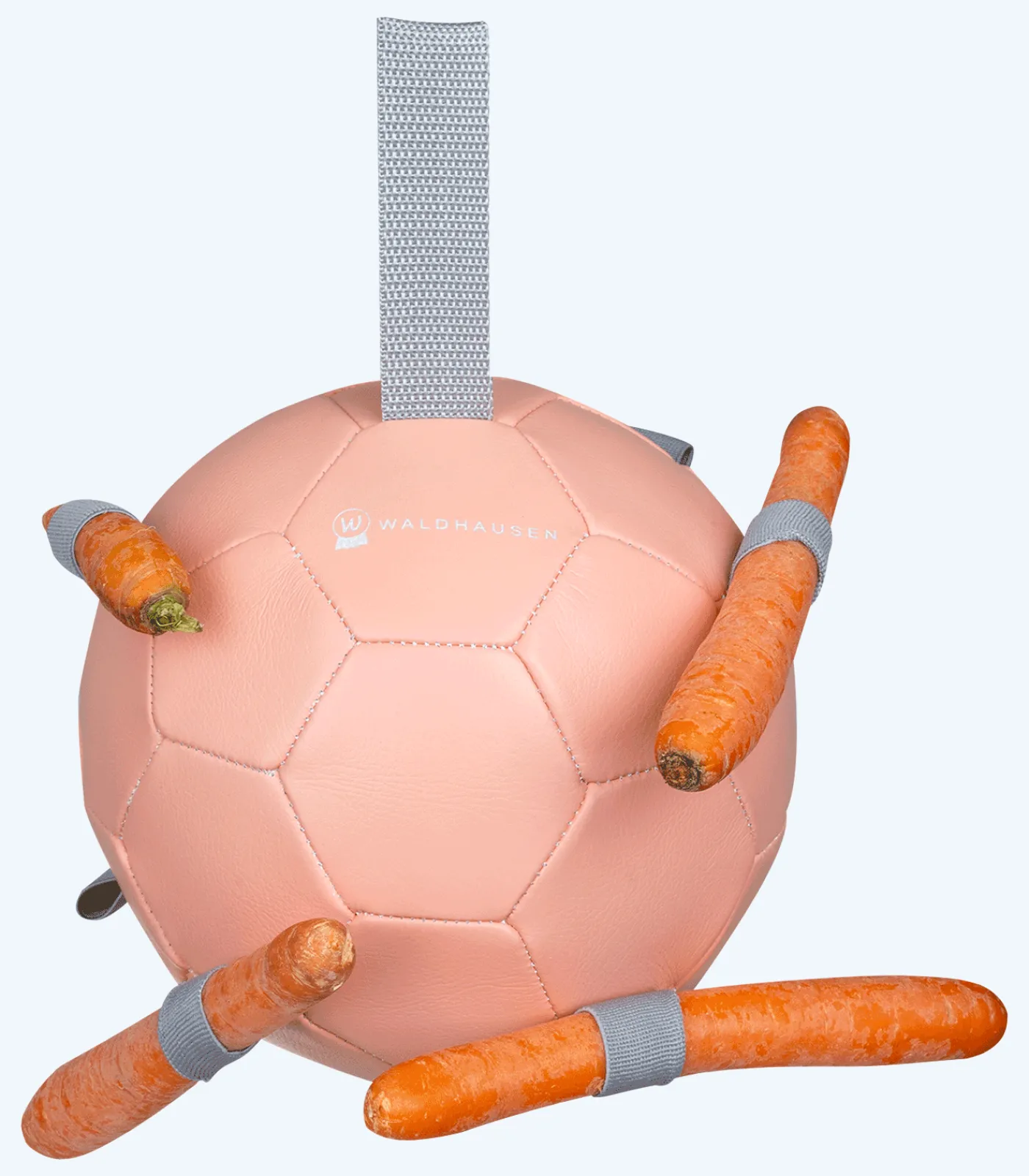 Waldhausen Pferdespielzeug & Beschäftigung>Karottenball