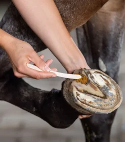 Keralit Stallapotheke|Huf & Pferdebein></noscript>Undercover