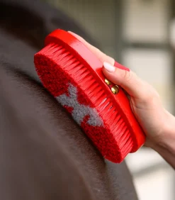 Waldhausen Putzzeug></noscript>Kinder-Kardätsche Pferdchen