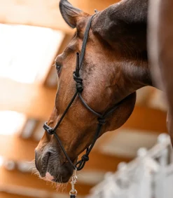 Waldhausen Western|Weiteres Longierzubehör>Knotenhalfter mit beweglichem Ring