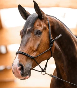Waldhausen Western|Weiteres Longierzubehör></noscript>Knotenhalfter mit beweglichem Ring