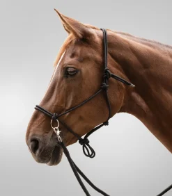 Waldhausen Western|Weiteres Longierzubehör></noscript>Knotenhalfter mit Zügel