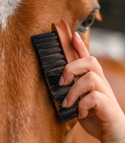 Waldhausen Putzzeug><noscript><img width=