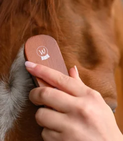 Waldhausen Putzzeug><noscript><img width=