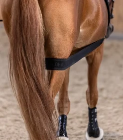 Waldhausen Weiteres Longierzubehör><noscript><img width=