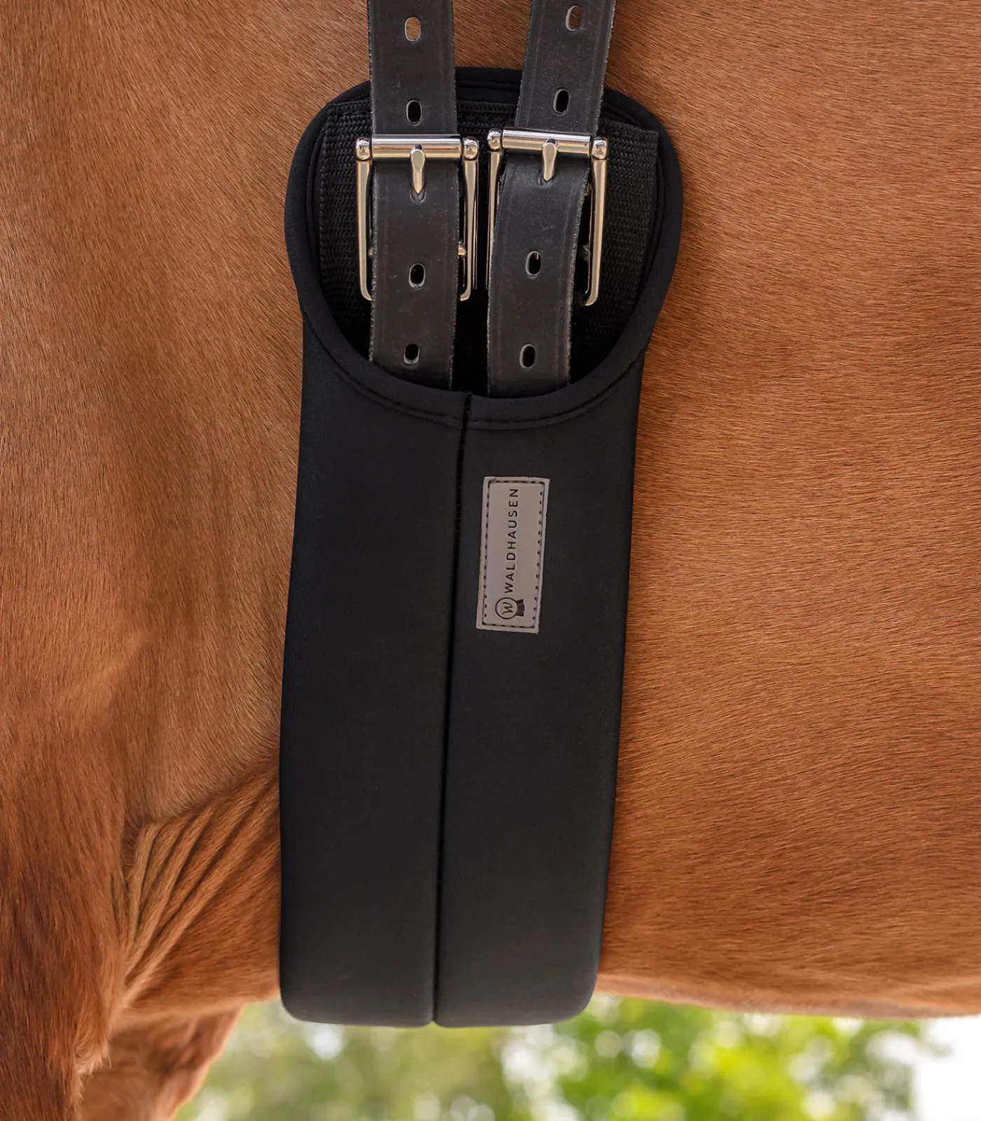 Waldhausen Sattelgurte>Kurzgurt