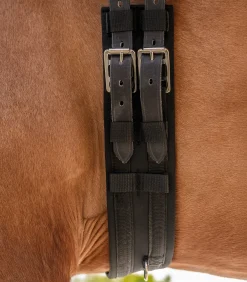 Waldhausen Sattelgurte>Kurzgurt Economic