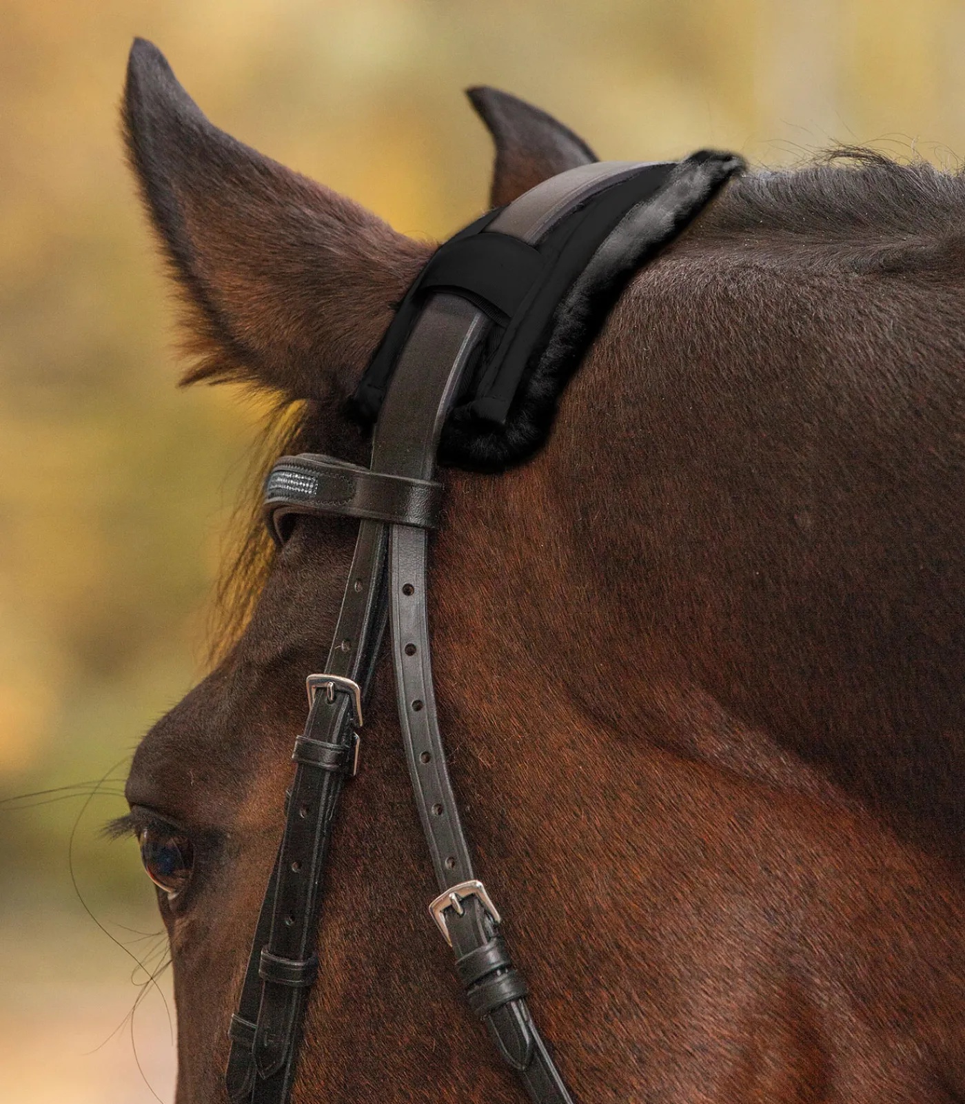 Waldhausen Lammfell|Trensenzubehör>Lammfell Nasen- oder Genickschoner