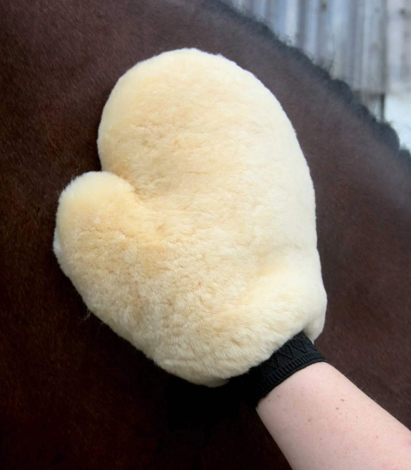 Waldhausen Putzzeug|Lammfell>Lammfell Pflegehandschuh