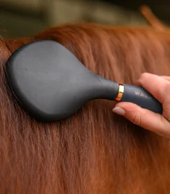 Waldhausen Mähne & Schweif|Putzzeug><noscript><img width=