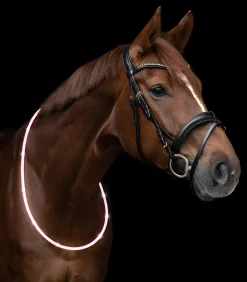 Waldhausen Anbinder & Zubehör|Reflexprodukte></noscript>LED Leuchthalsring