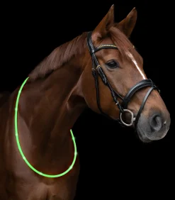 Waldhausen Anbinder & Zubehör|Reflexprodukte></noscript>LED Leuchthalsring