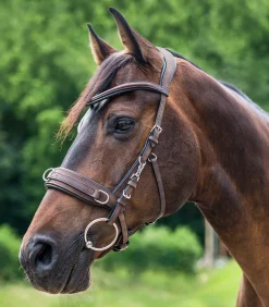 Waldhausen Pony & Shetty|Kappzäume & Longiergurte><noscript><img width=