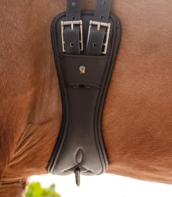 Waldhausen Sattelgurte><noscript><img width=