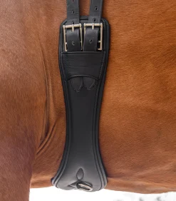 Waldhausen Sattelgurte><noscript><img width=