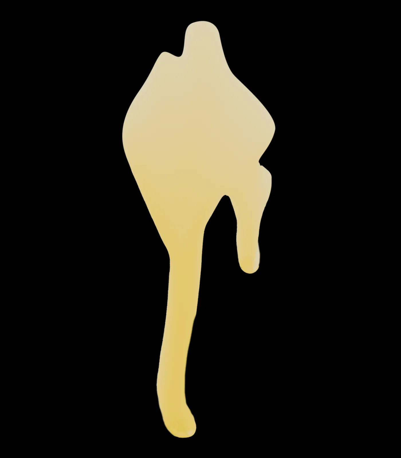 Waldhausen Lederpflege|Sattelpflege>Lederöl, 1 l