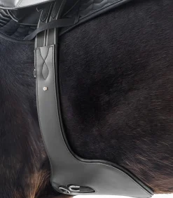 Waldhausen Sattelgurte></noscript>Ledersattelgurt - mit Bauchlatz
