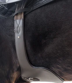 Waldhausen Sattelgurte></noscript>Ledersattelgurt - mit Bauchlatz