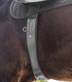 Waldhausen Sattelgurte></noscript>Ledersattelgurt - mit Elastik