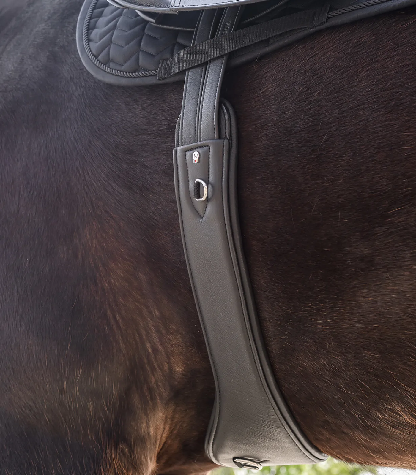 Waldhausen Sattelgurte>Ledersattelgurt Contour