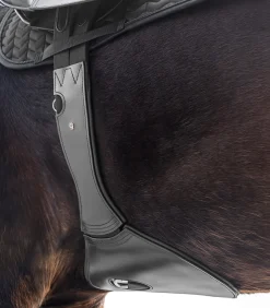 Waldhausen Sattelgurte><noscript><img width=