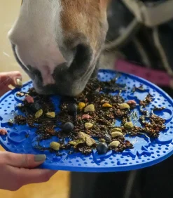 LIKIT Pferdespielzeug & Beschäftigung|Lecksteine>Graze Maze