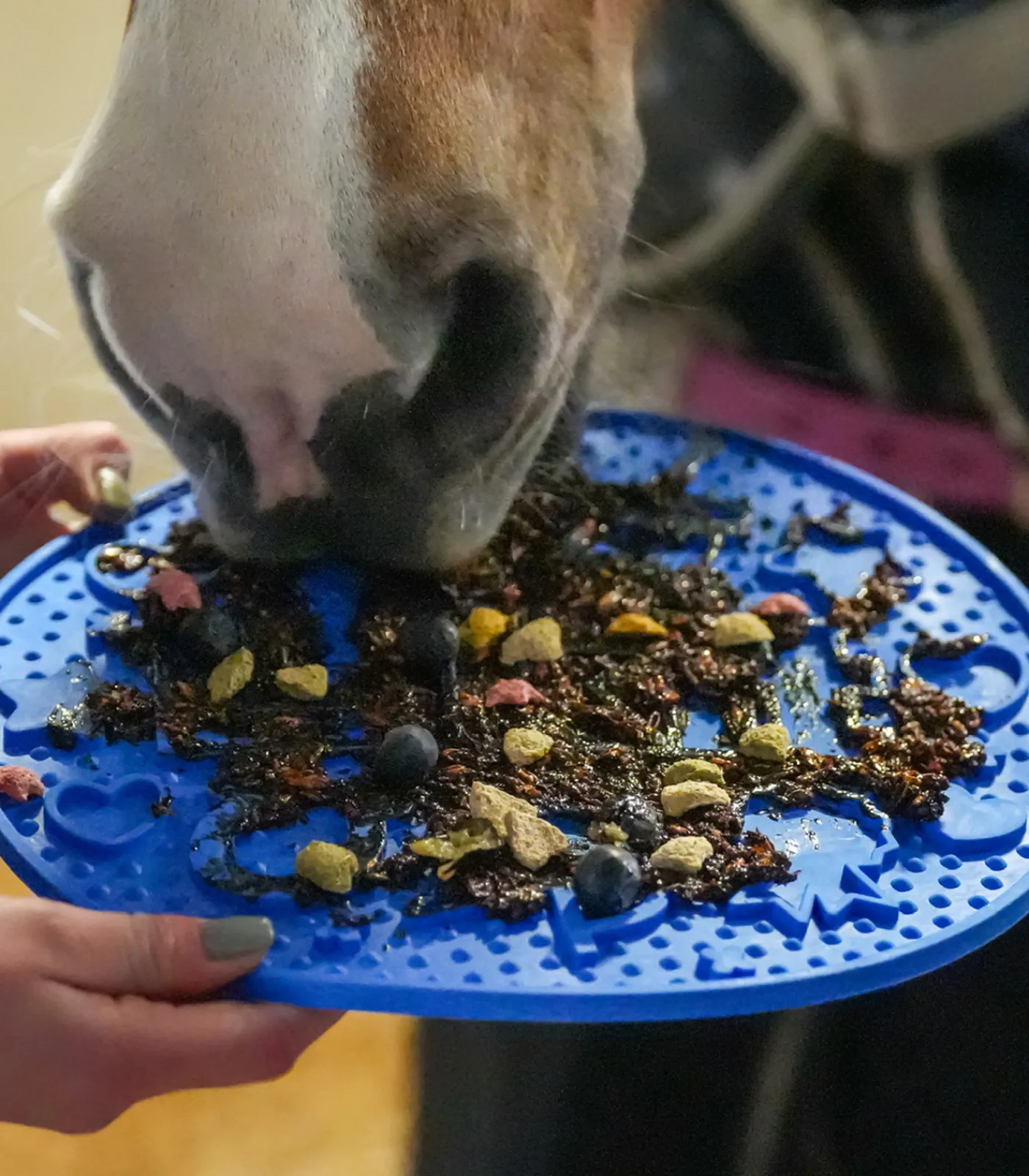 LIKIT Pferdespielzeug & Beschäftigung|Lecksteine>Graze Maze