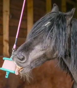 LIKIT Pferdespielzeug & Beschäftigung|Lecksteine><noscript><img width=