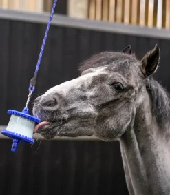 LIKIT Pferdespielzeug & Beschäftigung|Lecksteine><noscript><img width=