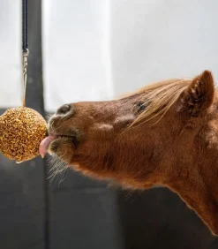 LIKIT Lecksteine>Müslikugel 1,6 kg