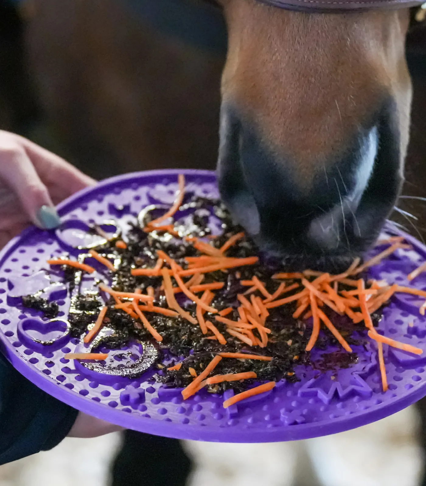 LIKIT Leckerli|Lecksteine>Paste für Graze Maze