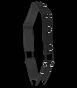 Waldhausen Kappzäume & Longiergurte>Longiergurt Nylon