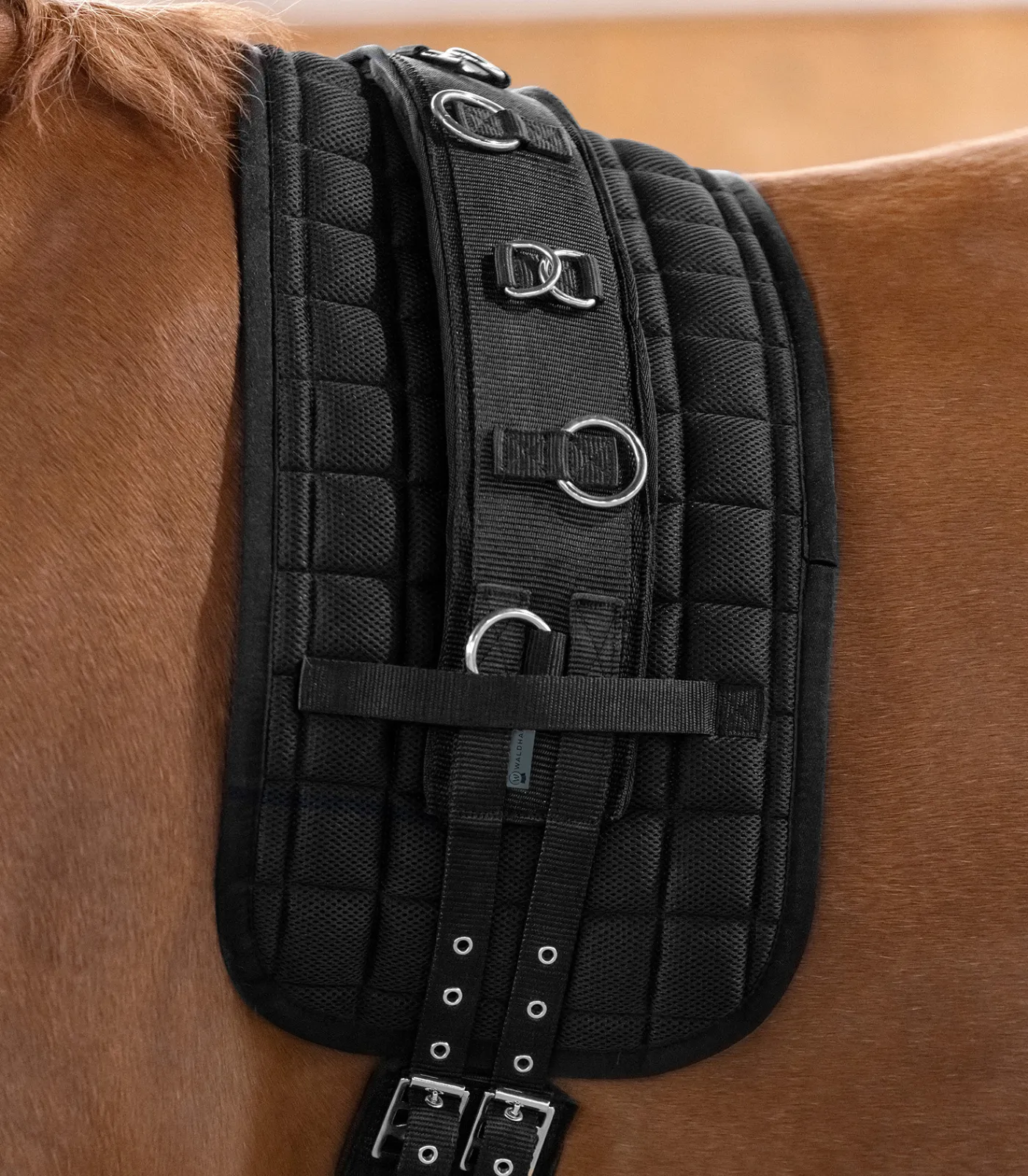 Waldhausen Kappzäume & Longiergurte>Longiergurt Supersoft