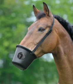 Waldhausen Weide|Fressbremsen & Kopperriemen>Maulkorb, Pony