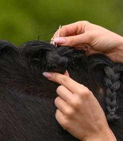 Waldhausen Turnieraccessoires & Pflege></noscript>Mähnen Einflecht Set