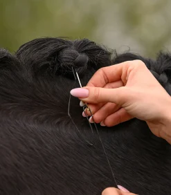 Waldhausen Turnieraccessoires & Pflege></noscript>Mähnen Einflecht Set