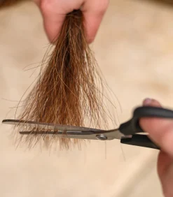 Waldhausen Schermaschine & Scheren></noscript>Mähnen- und Schweifschere 