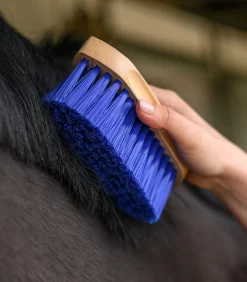 Waldhausen Mähne & Schweif|Putzzeug><noscript><img width=