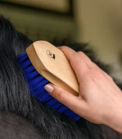 Waldhausen Mähne & Schweif|Putzzeug><noscript><img width=