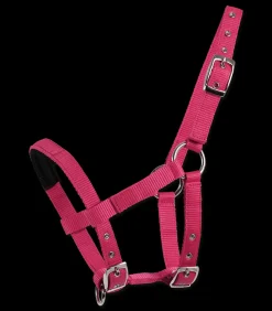 Waldhausen Fohlen|Pony & Shetty>Mini-Shetty Halfter