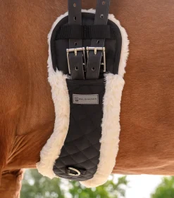 Waldhausen Sattelgurte><noscript><img width=