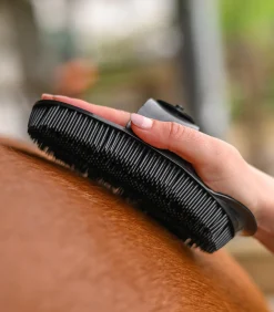 Waldhausen Putzzeug><noscript><img width=